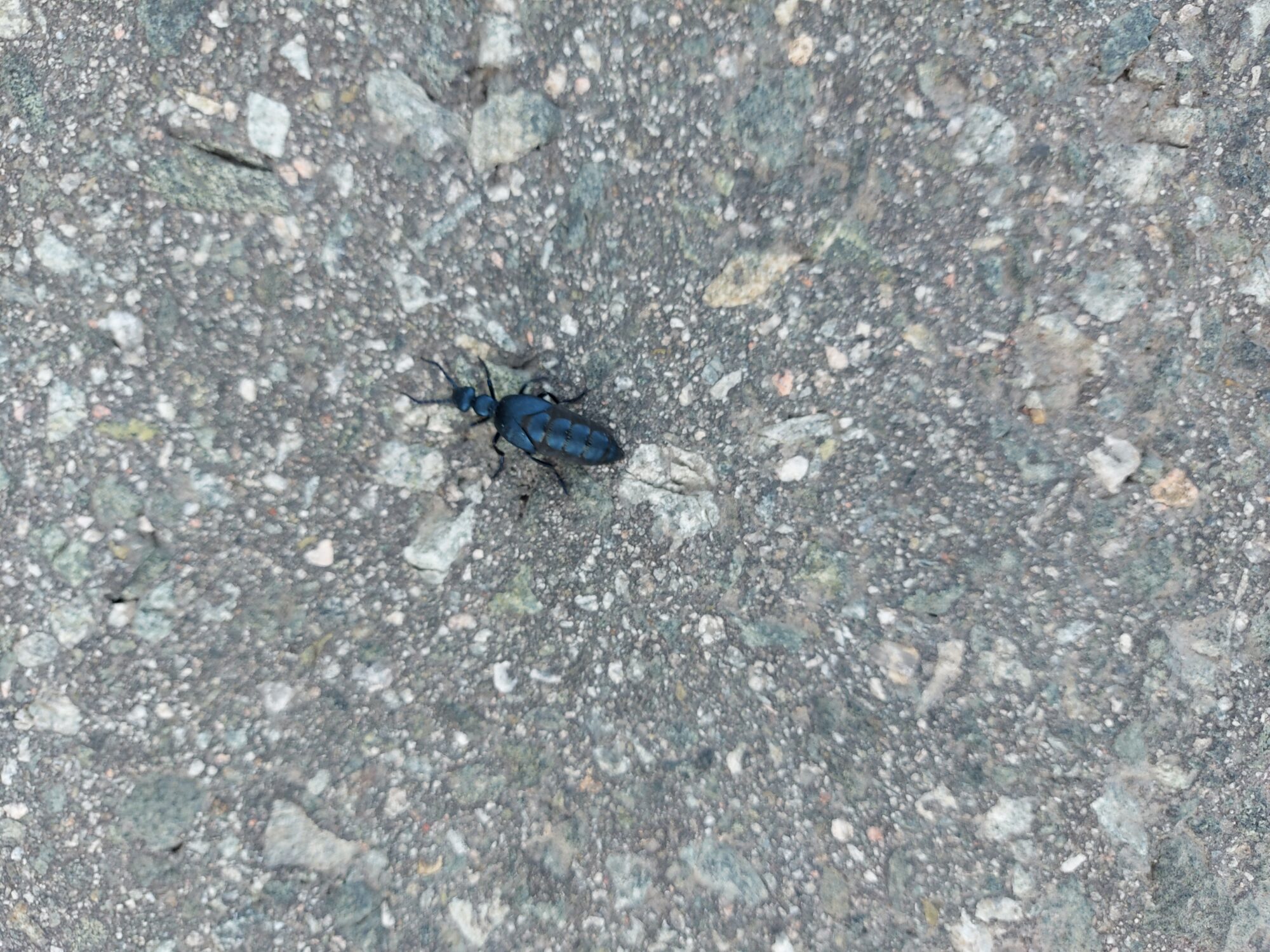 Valokuvaaja: Armi Lukkarinen