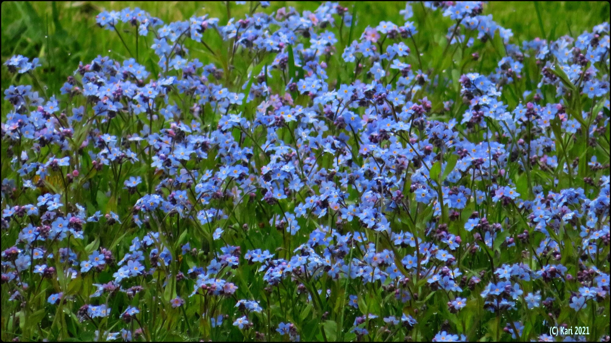 Valokuvaaja: Kari Saarinen