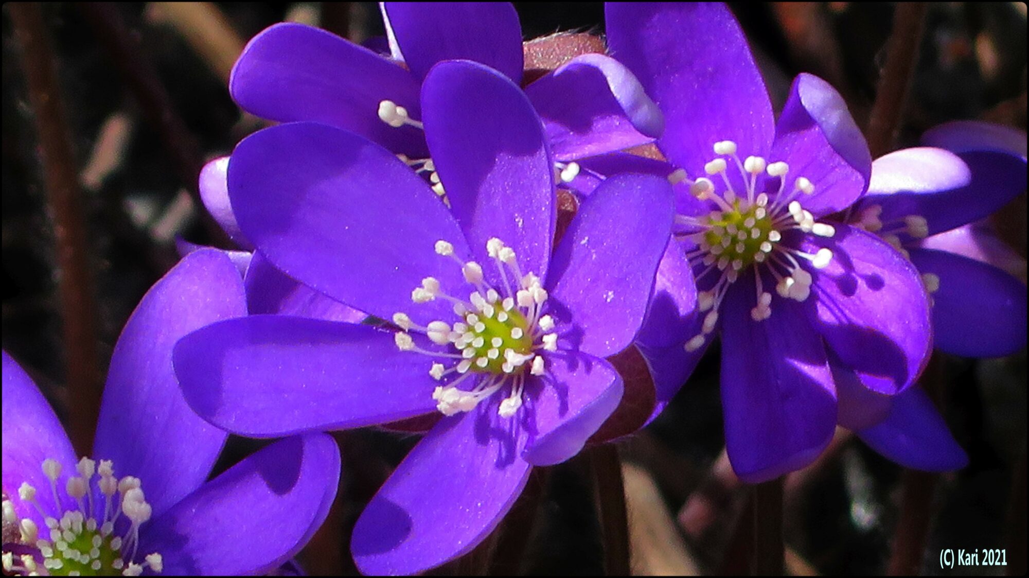 Valokuvaaja: Kari Saarinen