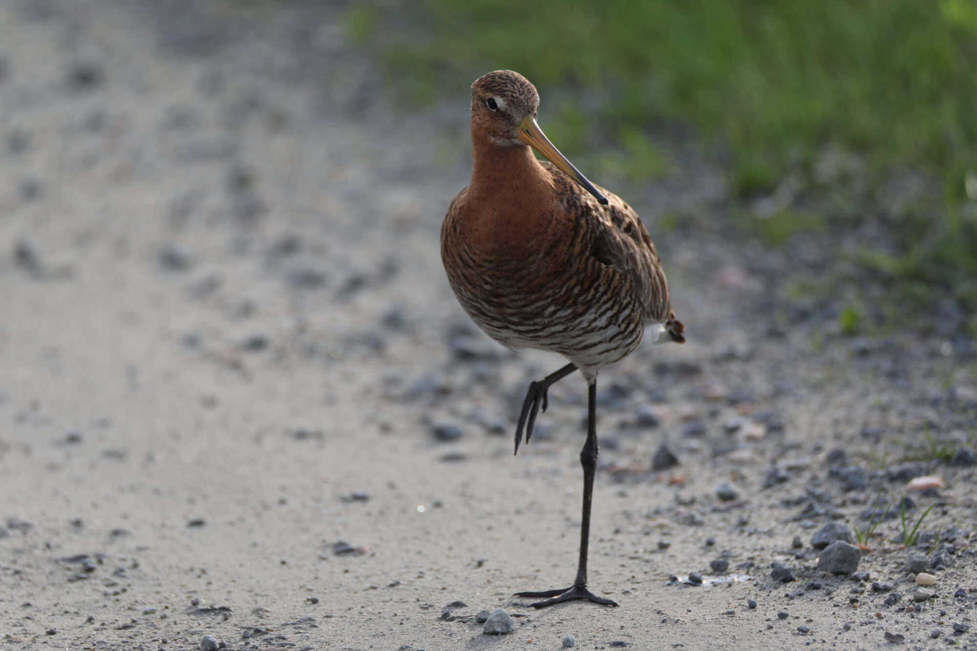 Valokuvaaja: Ahti Keränen