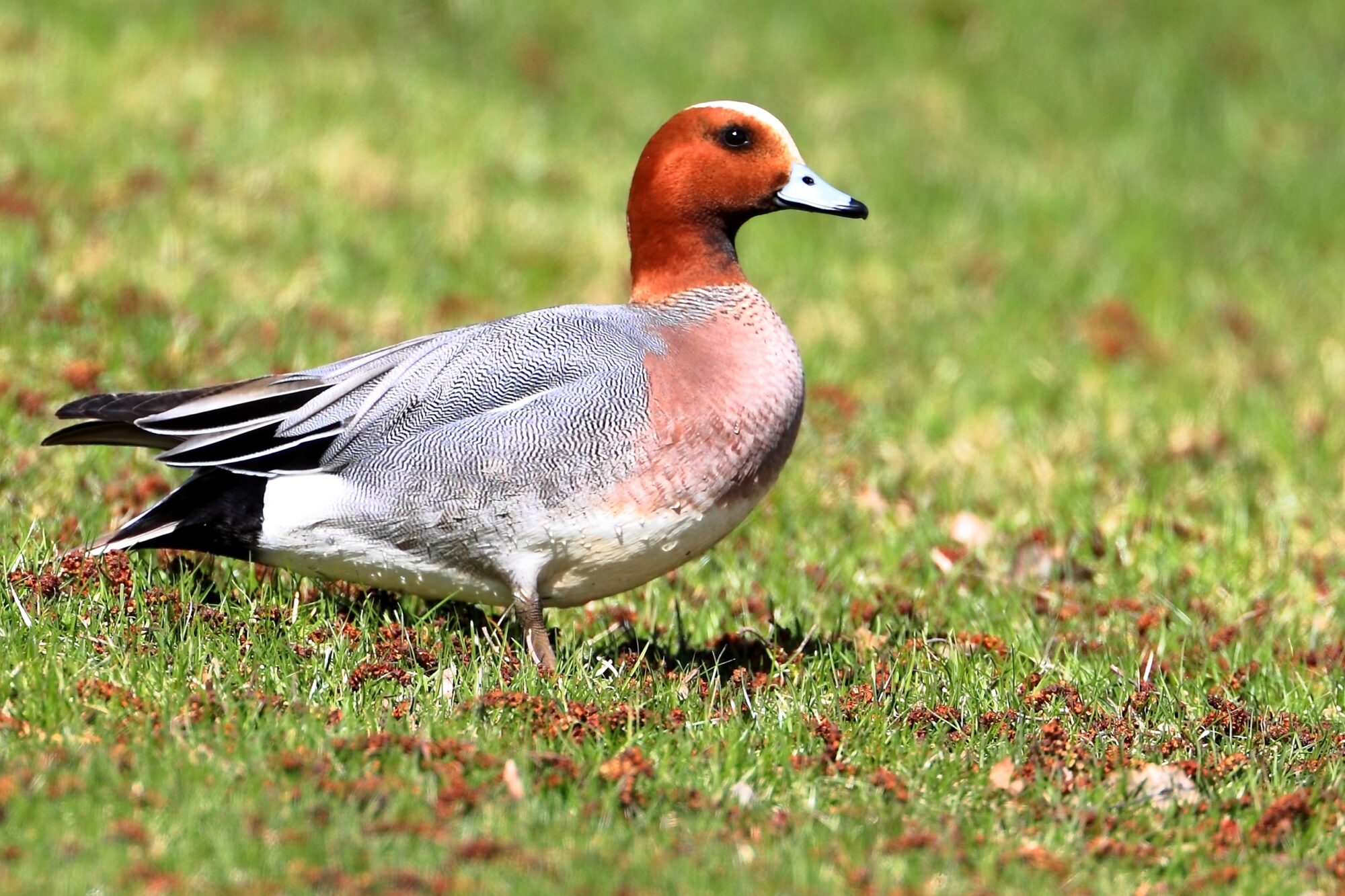 Valokuvaaja: Ari Branthin