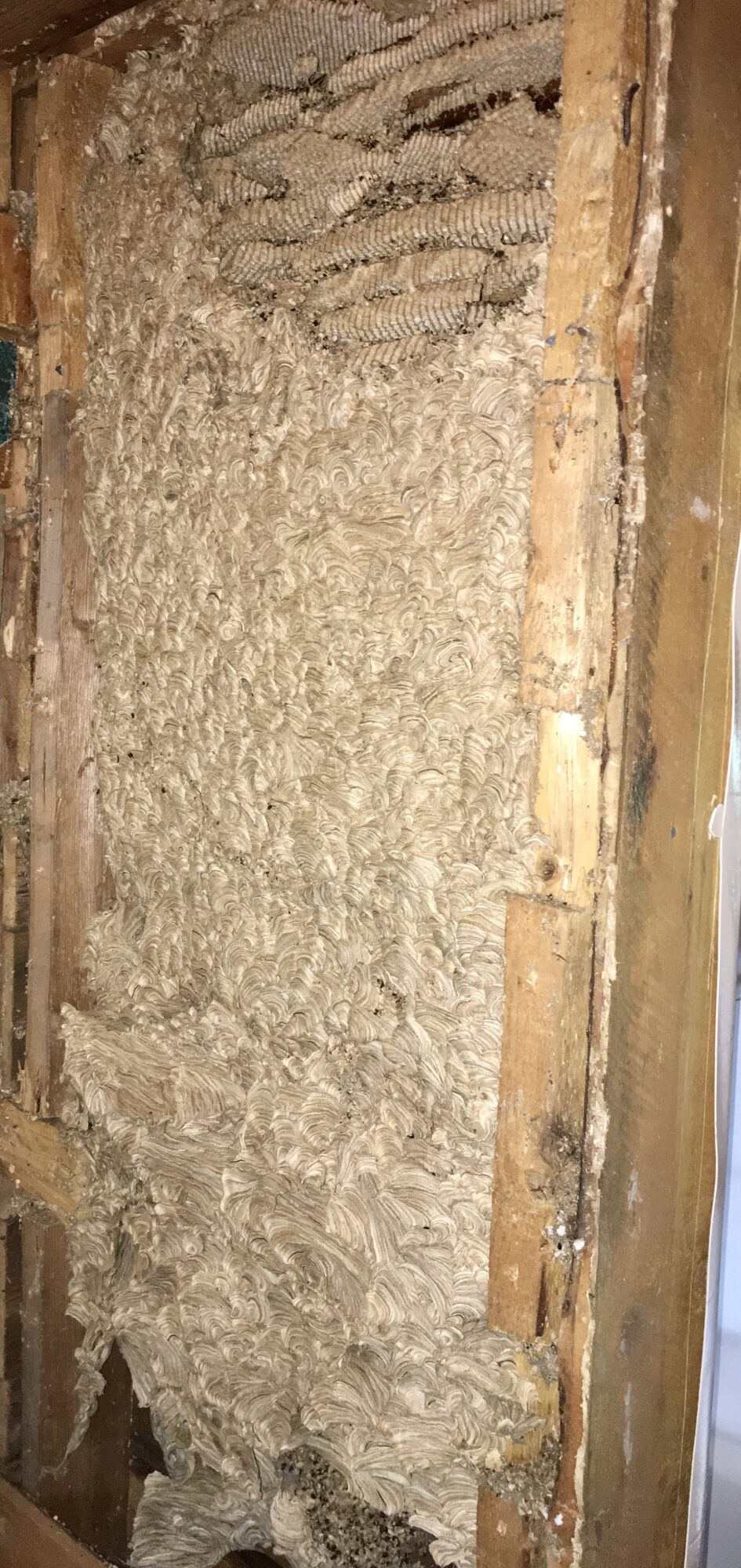 Valokuvaaja: Tanja Talvensalo