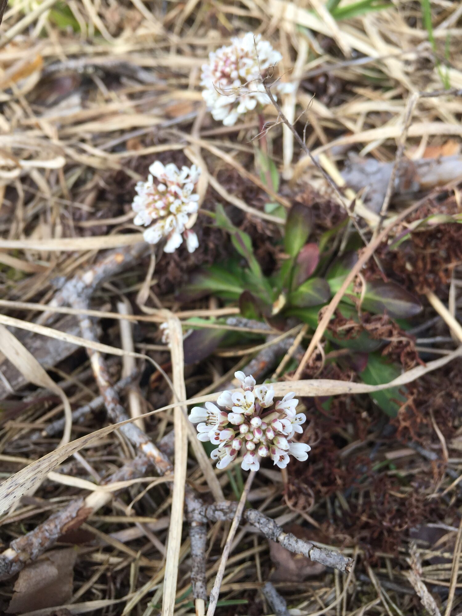 Valokuvaaja: Annu Vertanen