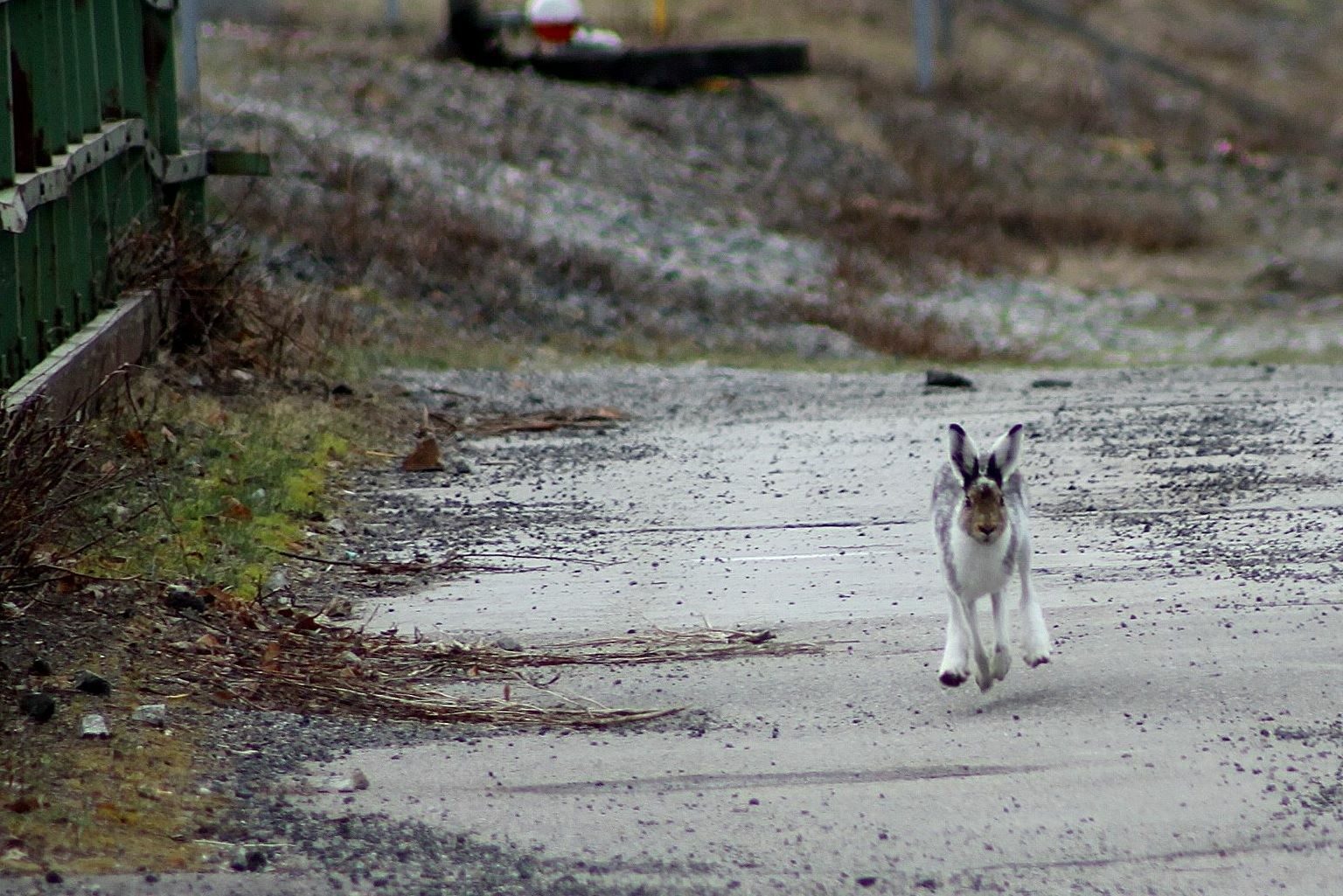 Valokuvaaja: Pirkko Siukonen