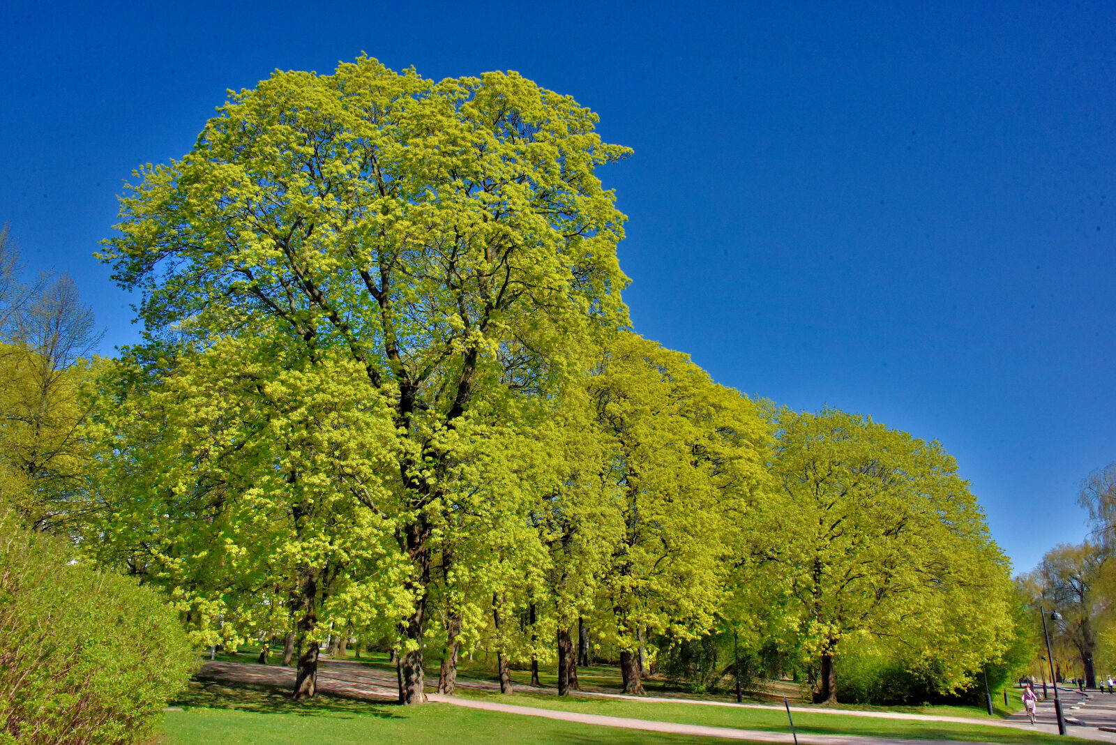 Valokuvaaja: Reijo Juurinen