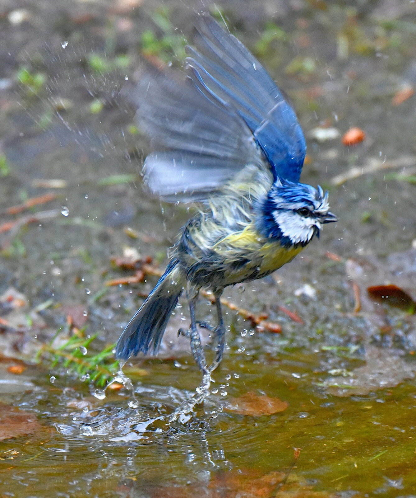 Valokuvaaja: Reijo Juurinen