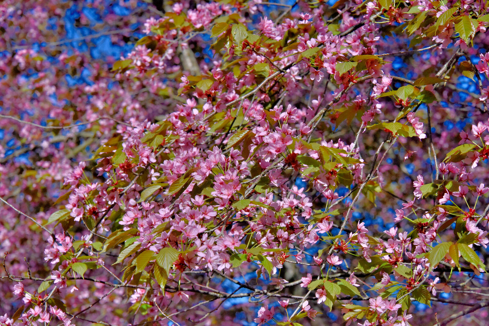Valokuvaaja: Reijo Juurinen