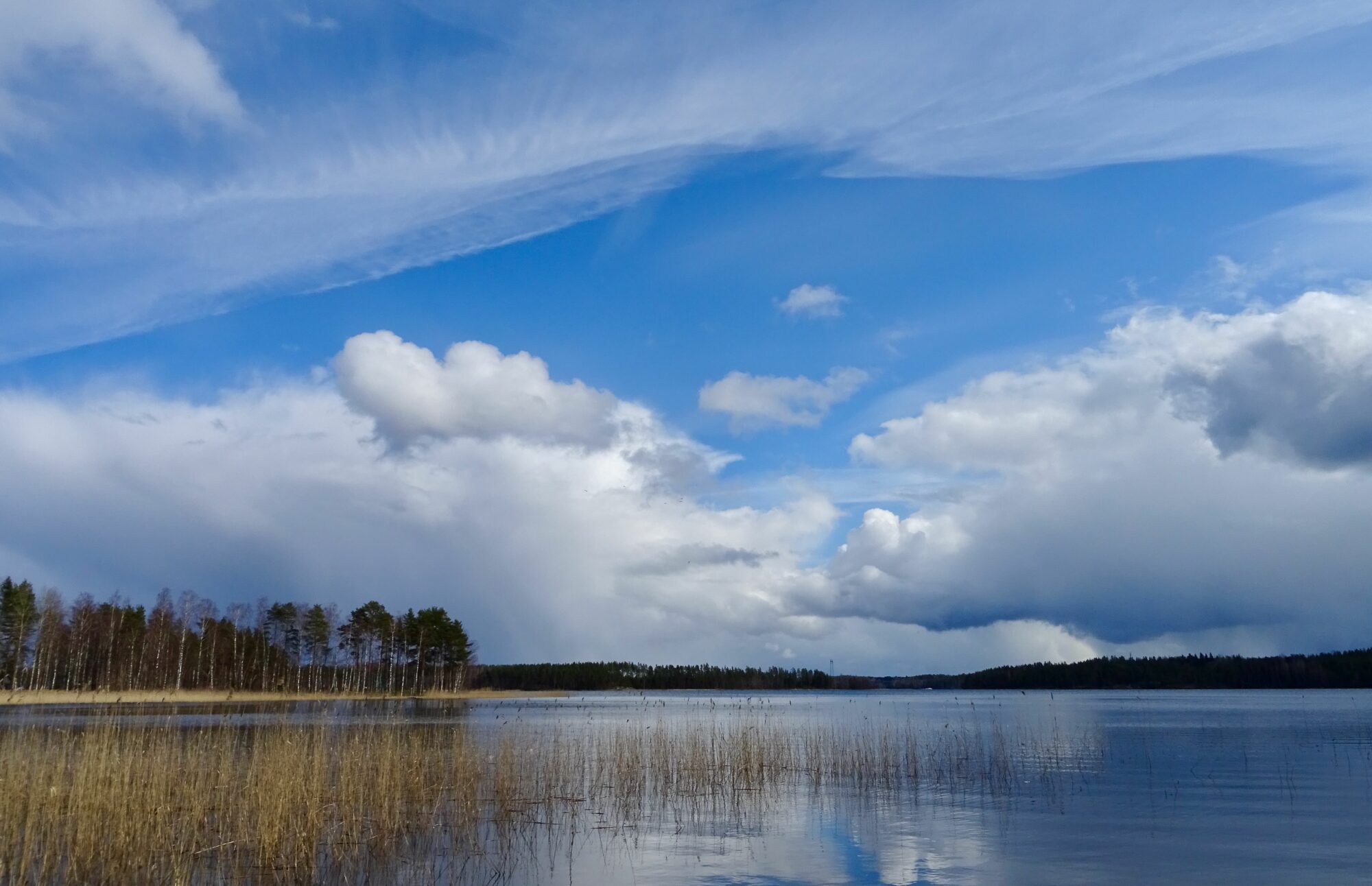 Valokuvaaja: Liisa Niiva-Korpela