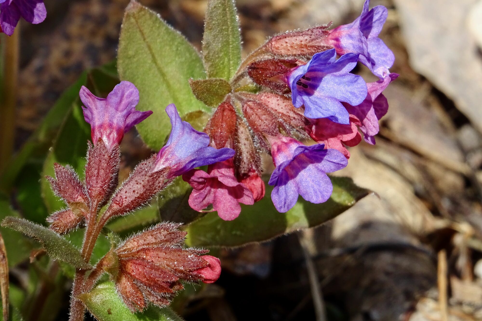 Valokuvaaja: Liisa Niiva-Korpela