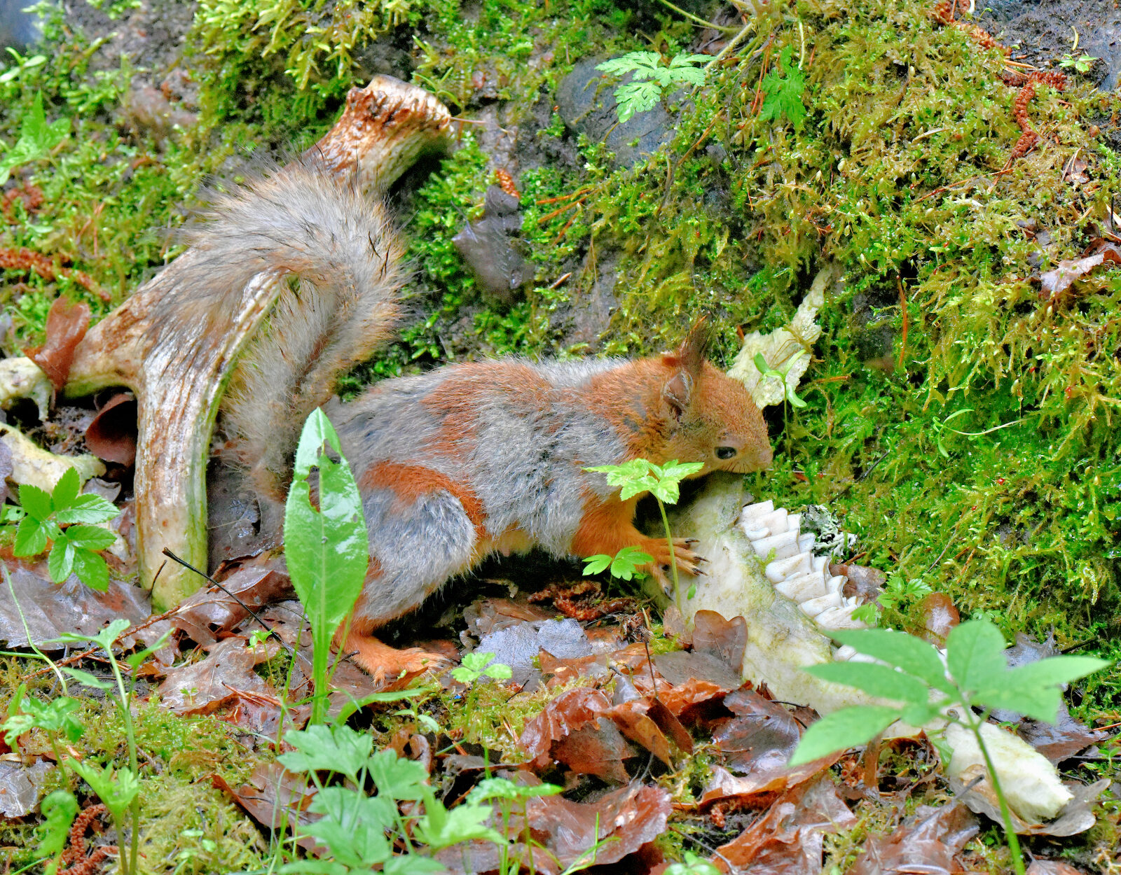 Valokuvaaja: Reijo Juurinen
