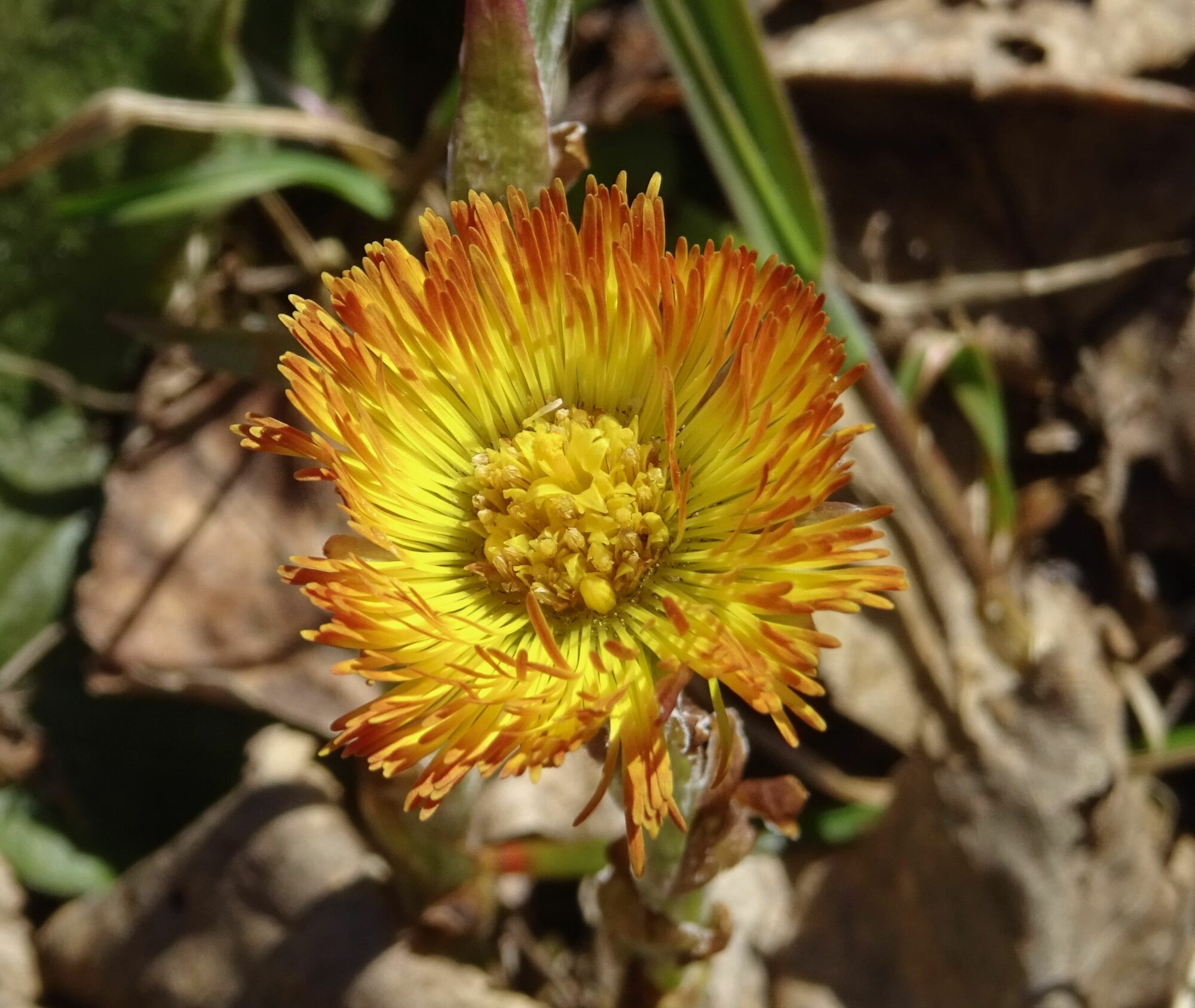 Valokuvaaja: Liisa Niiva-Korpela Valokuvaaja: Liisa Niiva-Korpela