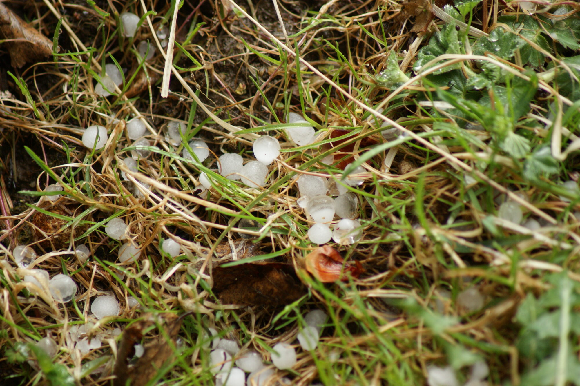 Valokuvaaja: Toni Asikainen