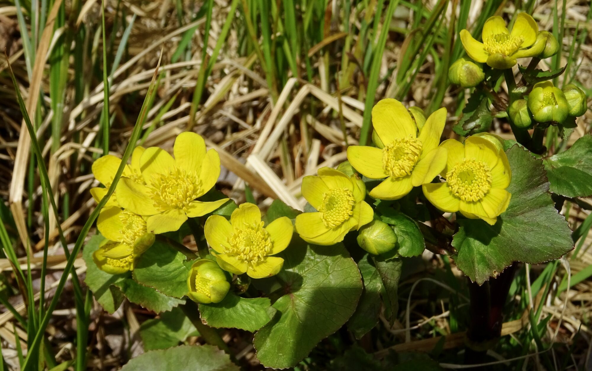 Valokuvaaja: Liisa Niiva-Korpela