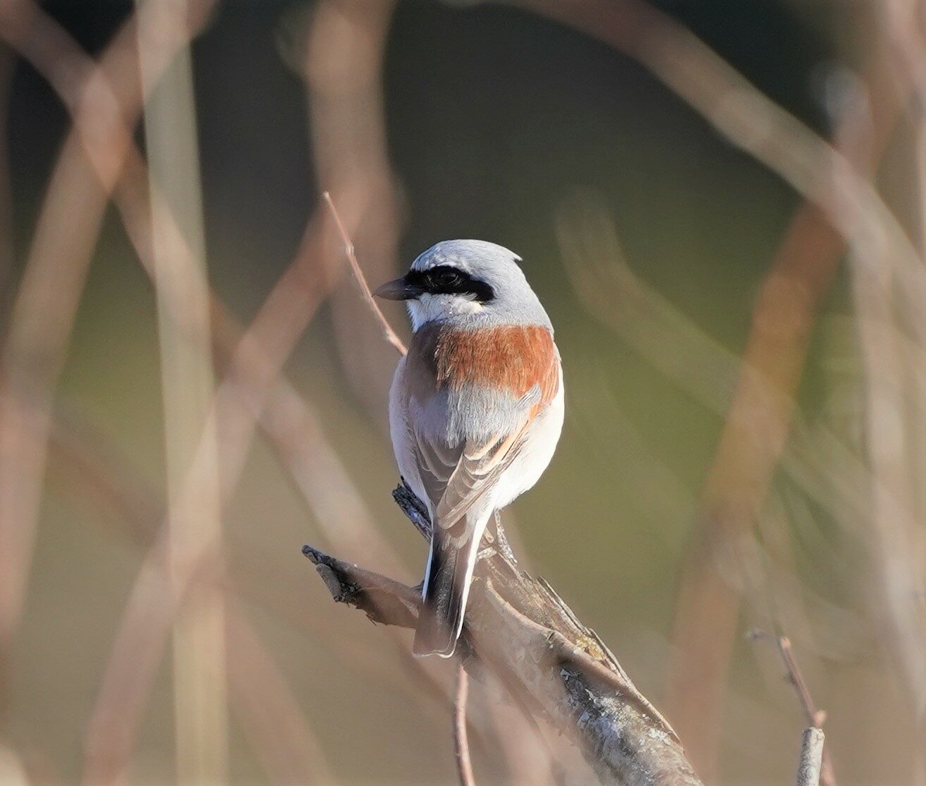 Valokuvaaja: Jaana Saarela