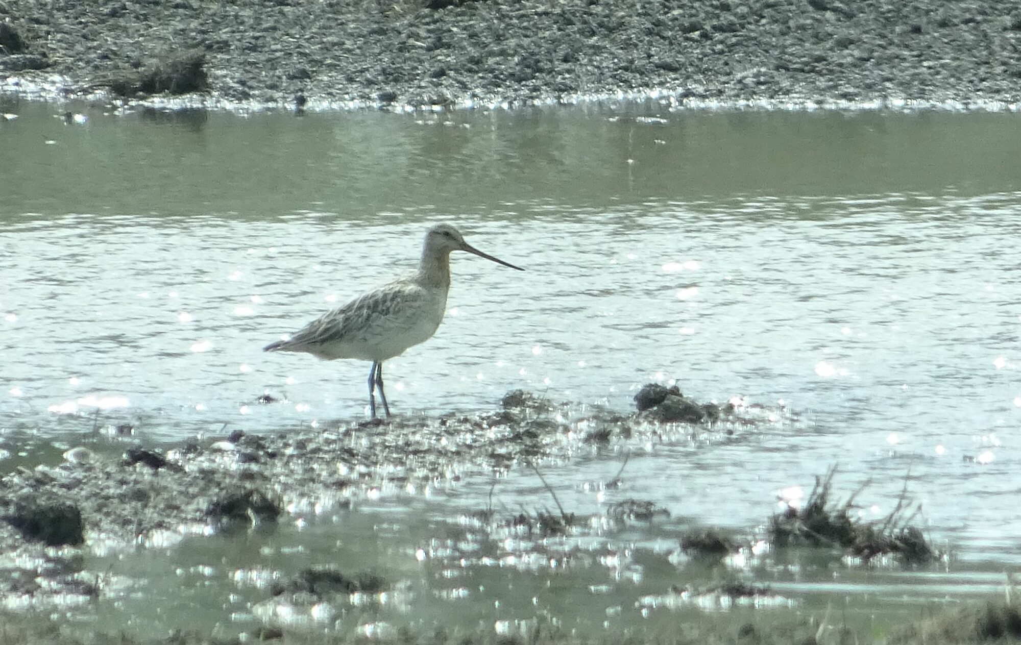 Valokuvaaja: Liisa Niiva-Korpela