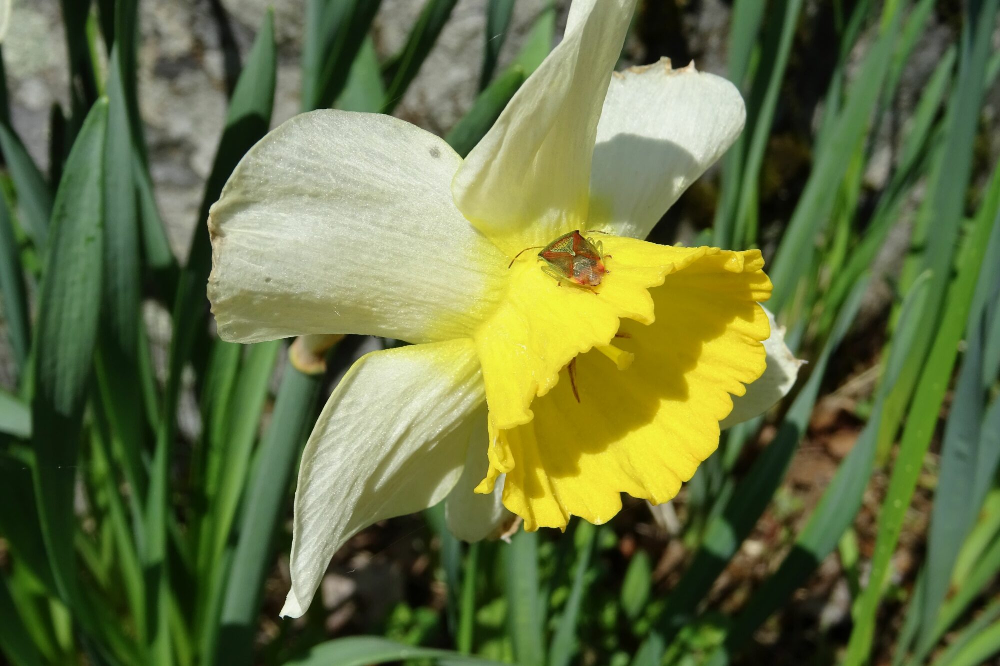 Valokuvaaja: Liisa Niiva-Korpela