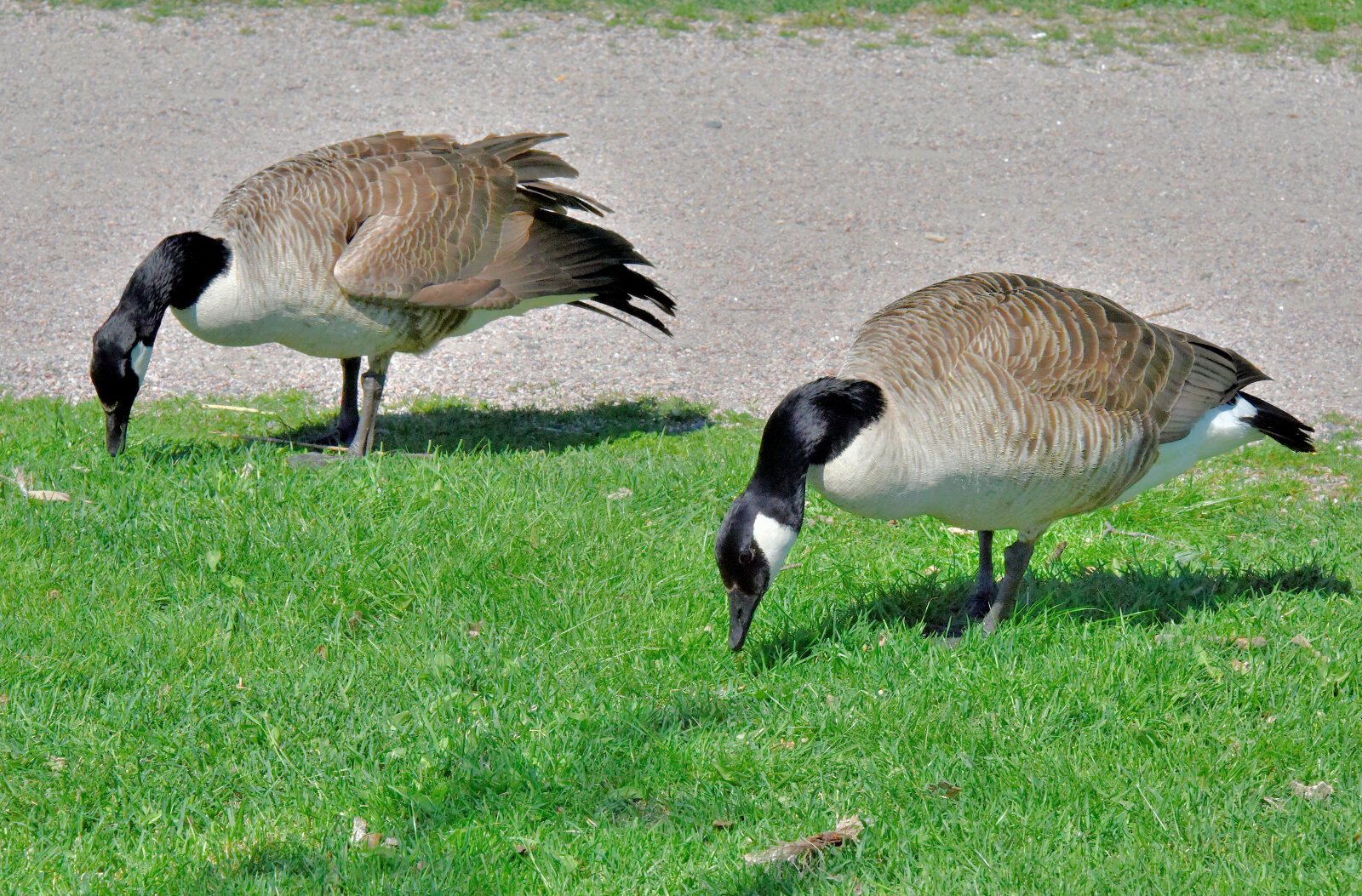 Valokuvaaja: Reijo Juurinen