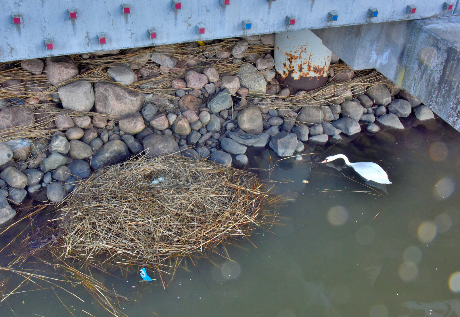 Valokuvaaja: Reijo Juurinen