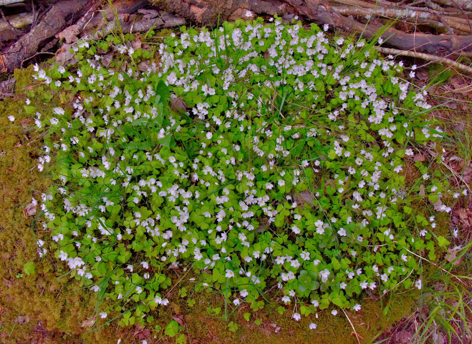 Valokuvaaja: Reijo Juurinen