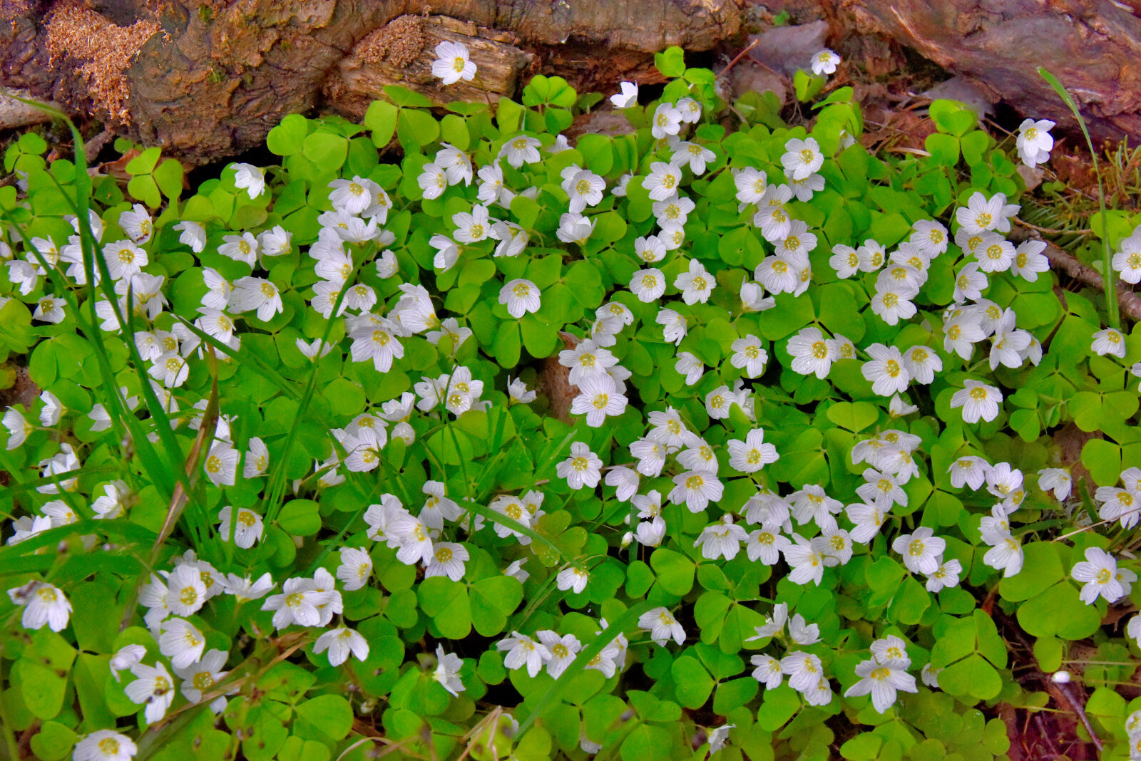 Valokuvaaja: Reijo Juurinen