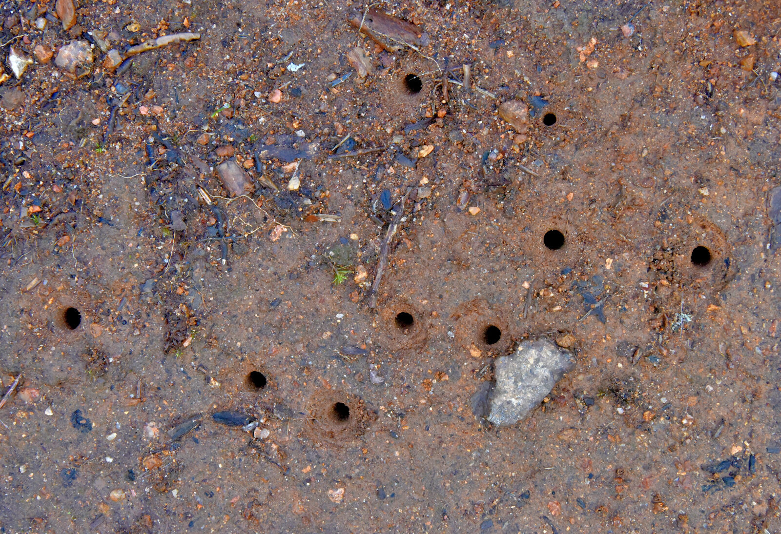 Valokuvaaja: Reijo Juurinen