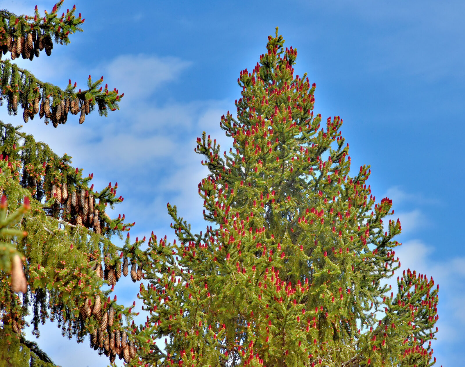 Valokuvaaja: Reijo Juurinen