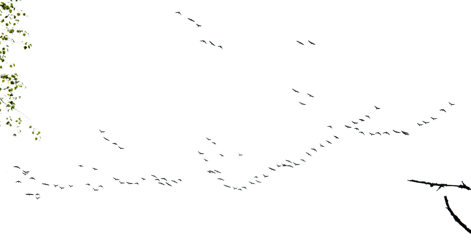 Valokuvaaja: Reijo Juurinen