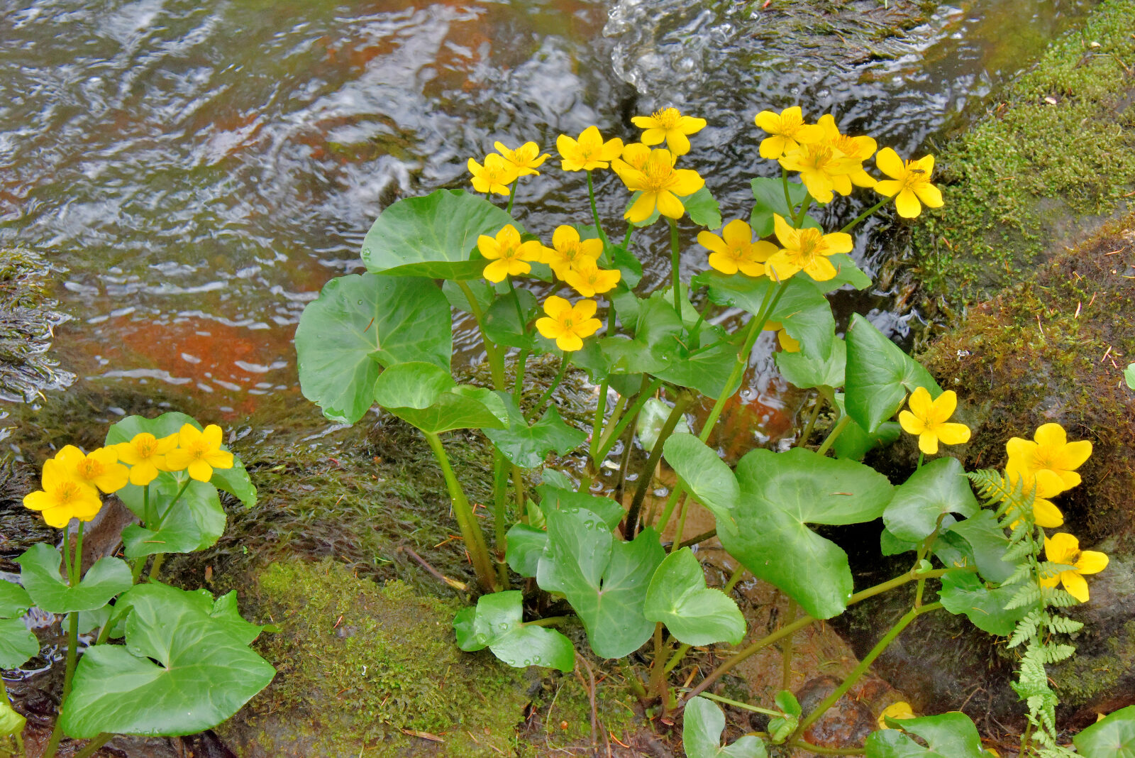 Valokuvaaja: Reijo Juurinen