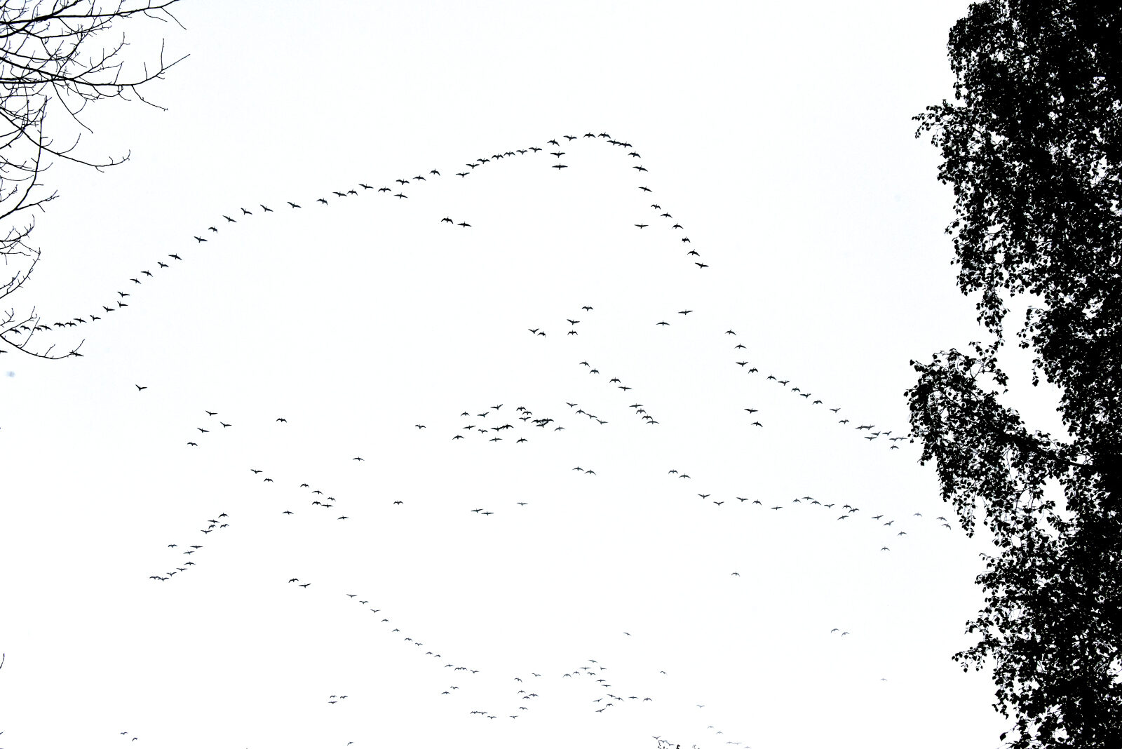 Valokuvaaja: Reijo Juurinen