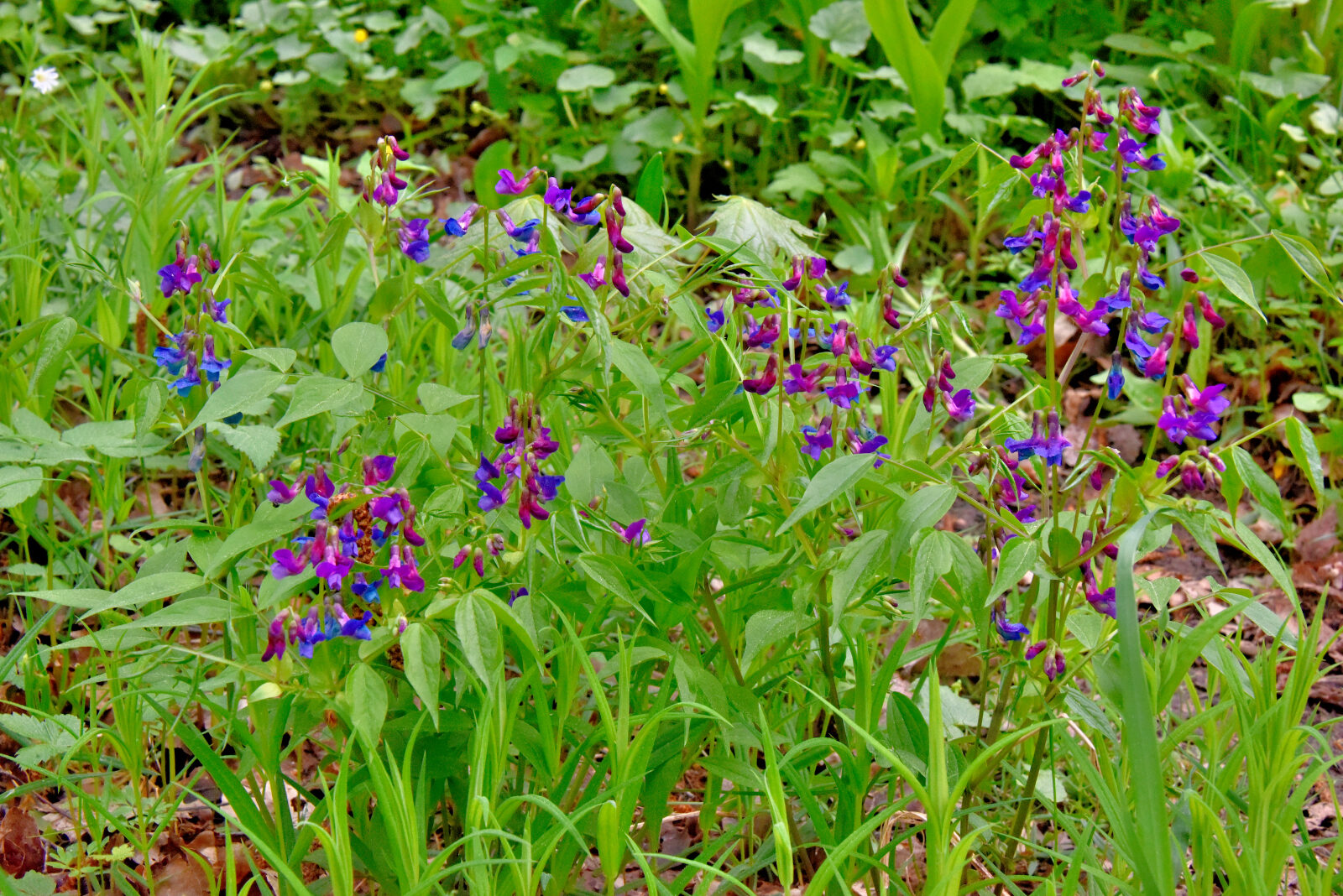 Valokuvaaja: Reijo Juurinen