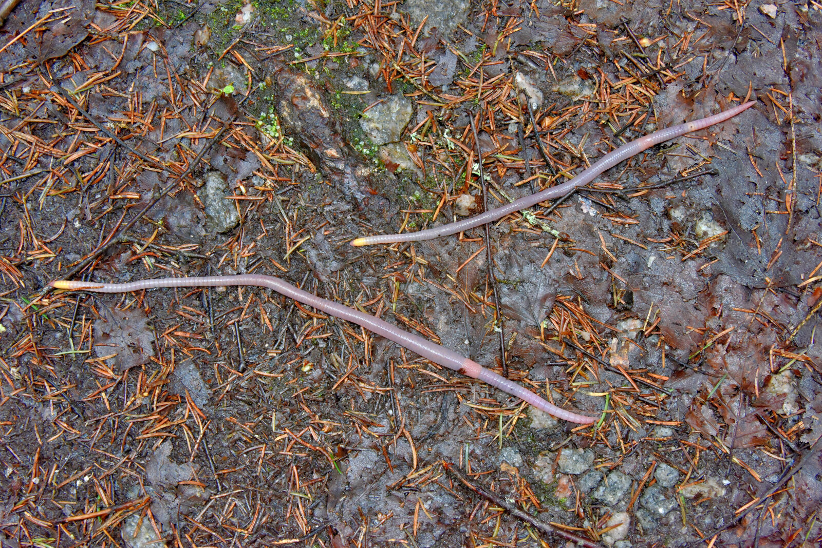 Valokuvaaja: Reijo Juurinen