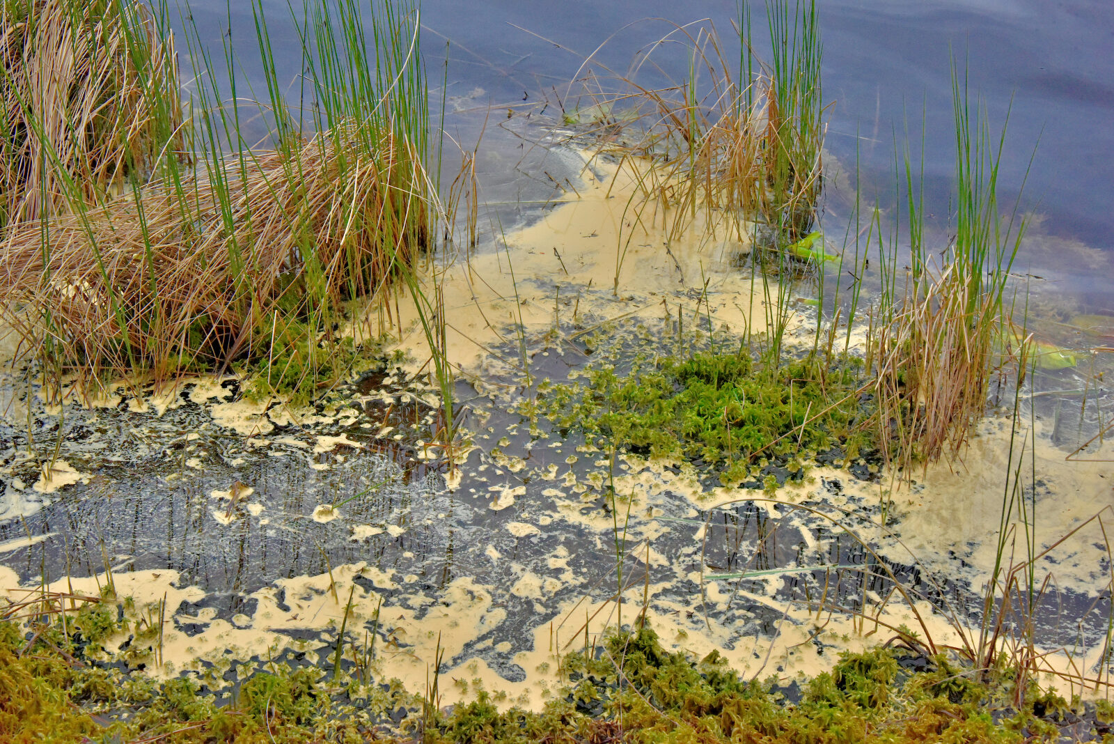 Valokuvaaja: Reijo Juurinen