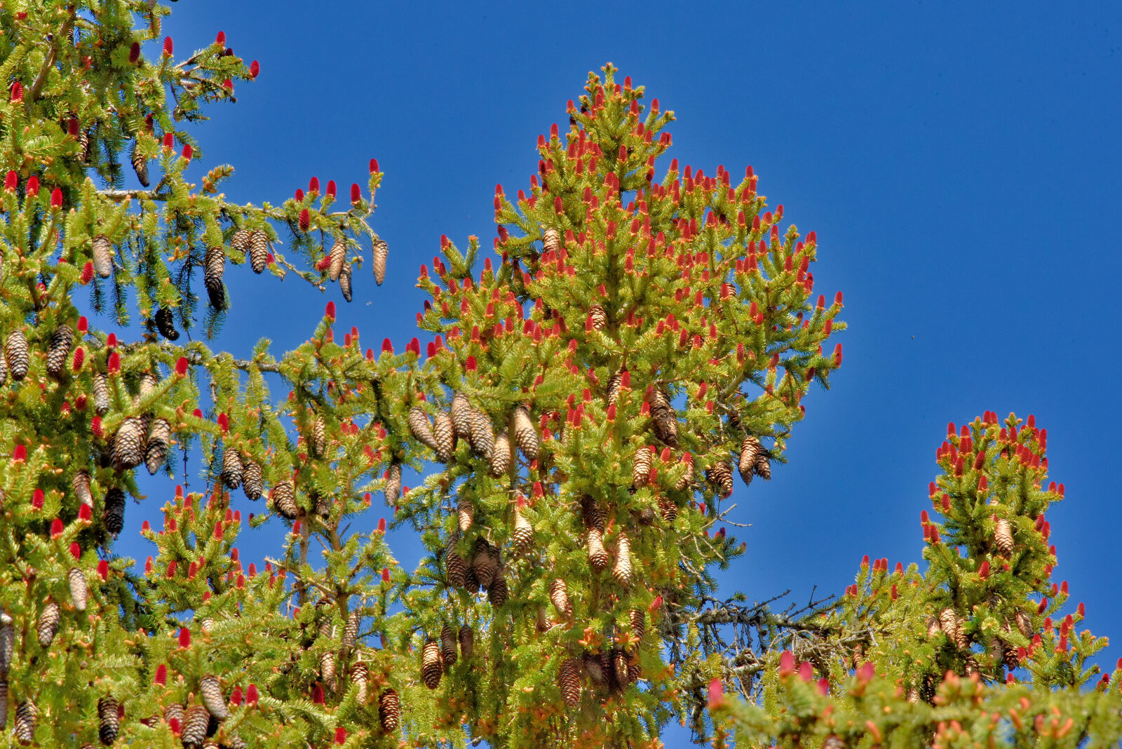 Valokuvaaja: Reijo Juurinen