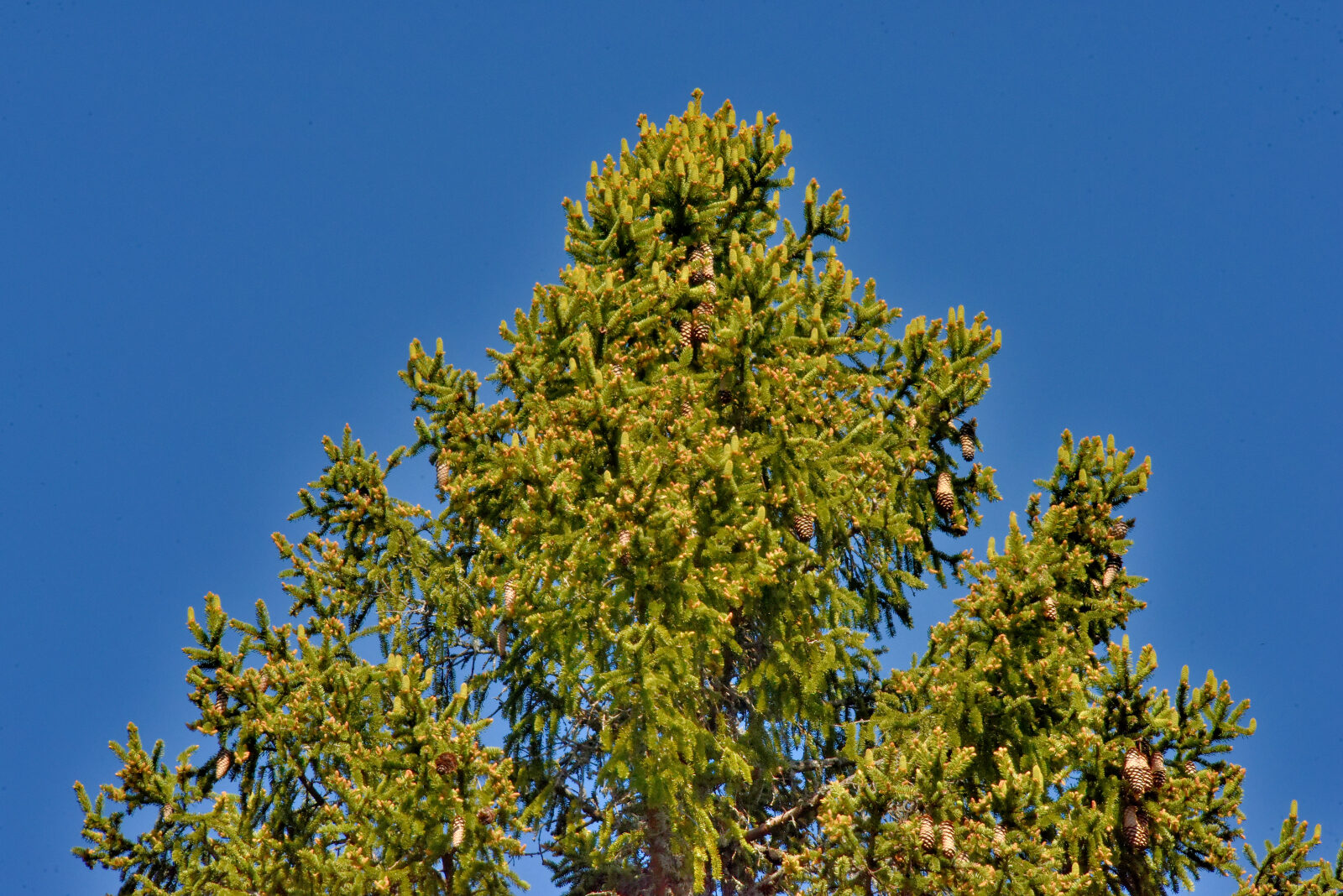 Valokuvaaja: Reijo Juurinen