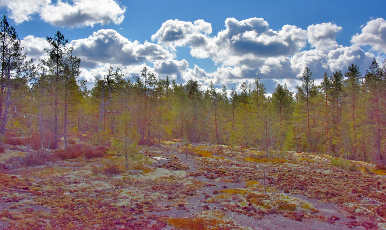 Valokuvaaja: Reijo Juurinen Valokuvaaja: Reijo Juurinen