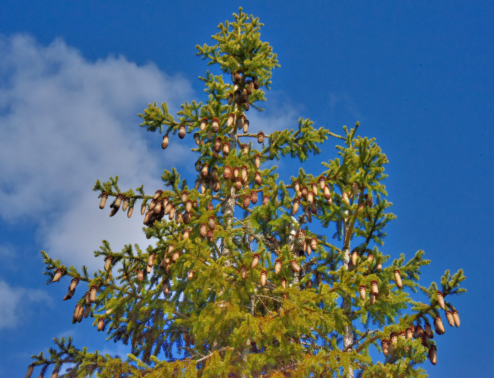 Valokuvaaja: Reijo Juurinen Valokuvaaja: Reijo Juurinen