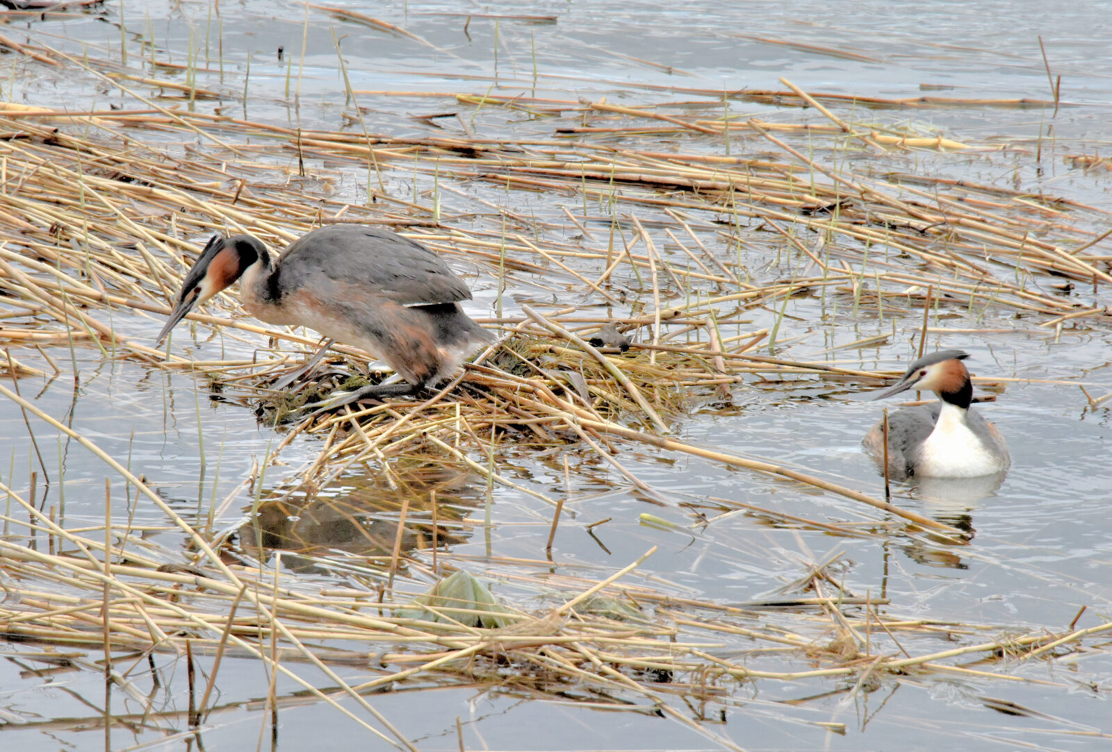 Valokuvaaja: Reijo Juurinen