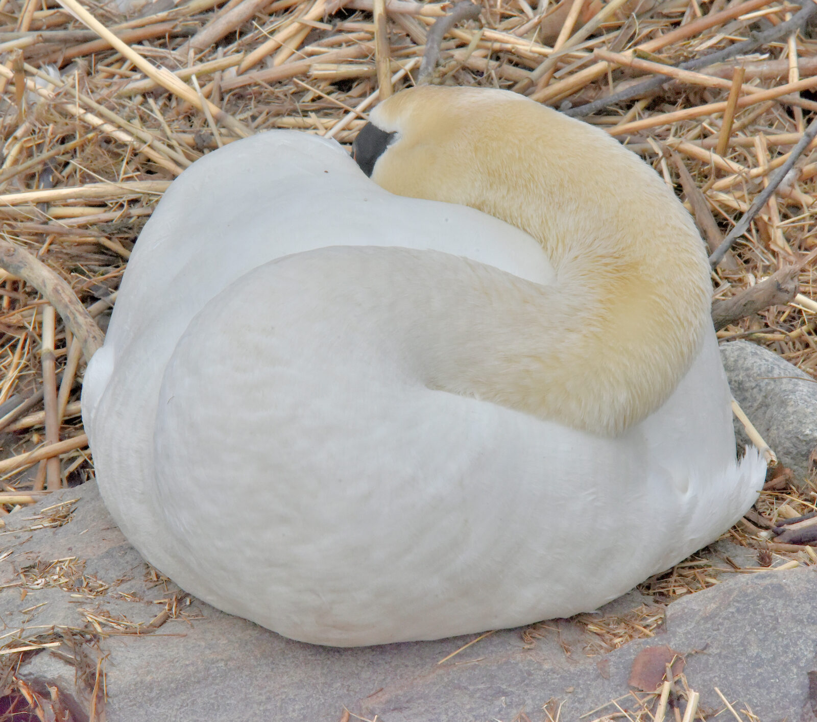 Valokuvaaja: Reijo Juurinen