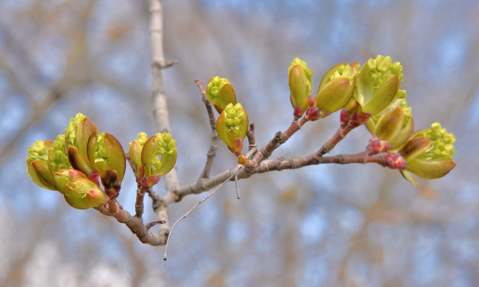 Valokuvaaja: Reijo Juurinen
