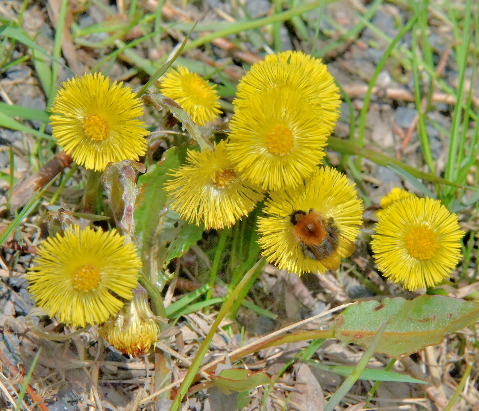 Valokuvaaja: Reijo Juurinen