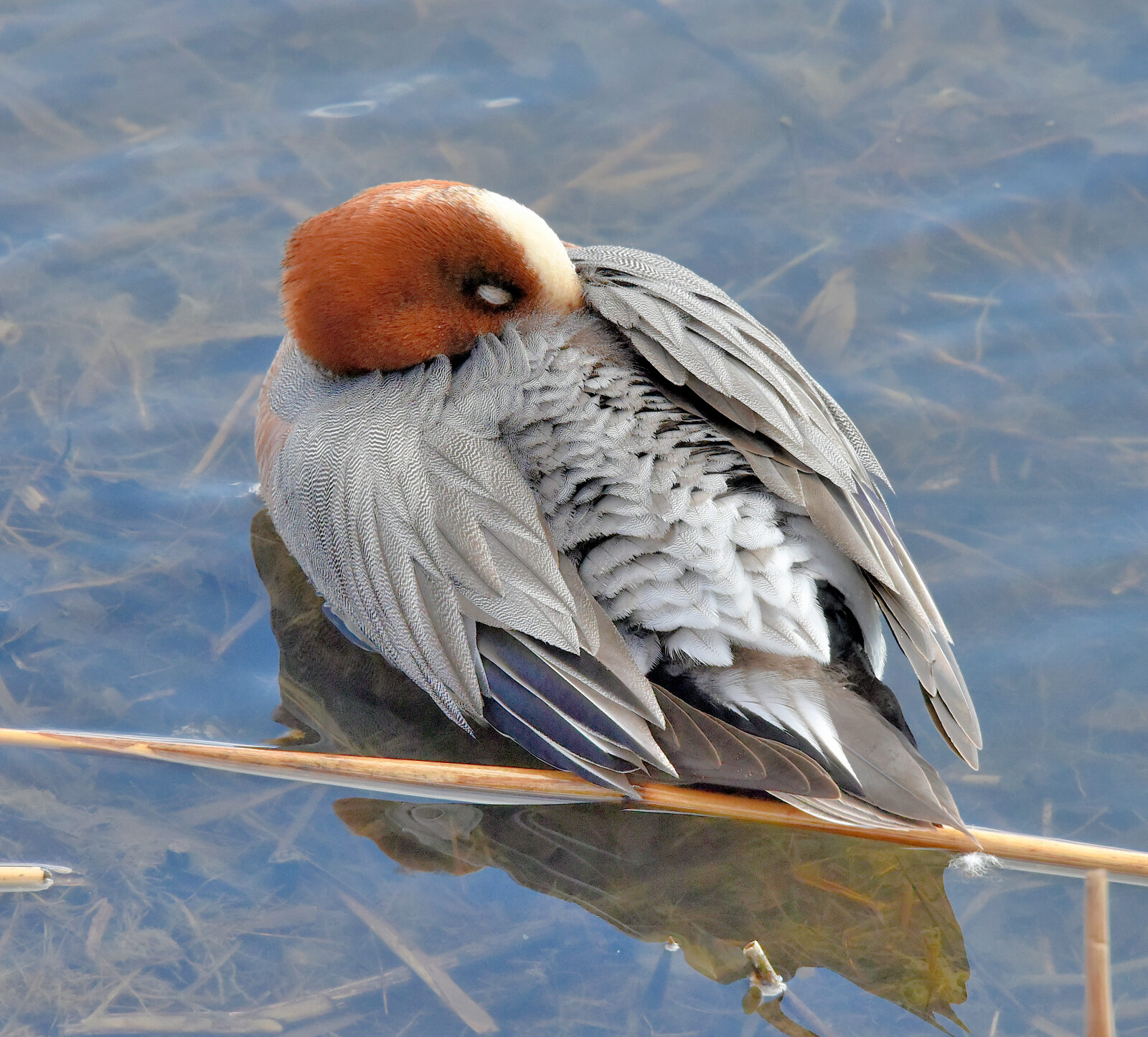 Valokuvaaja: Reijo Juurinen