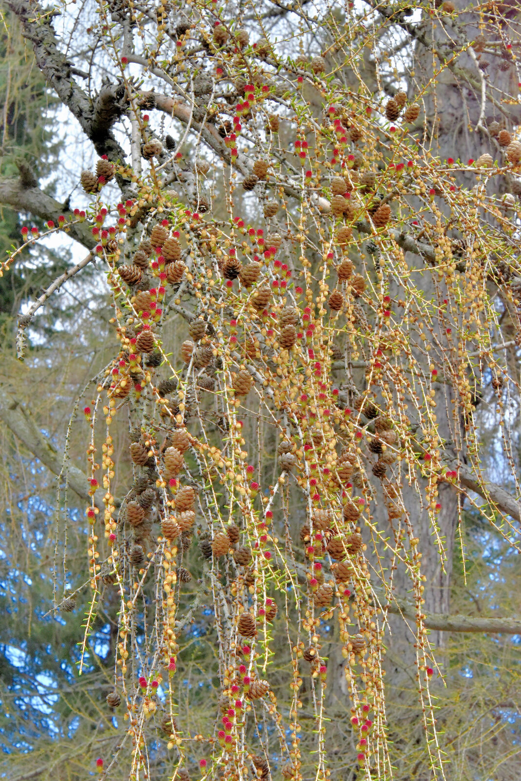 Valokuvaaja: Reijo Juurinen