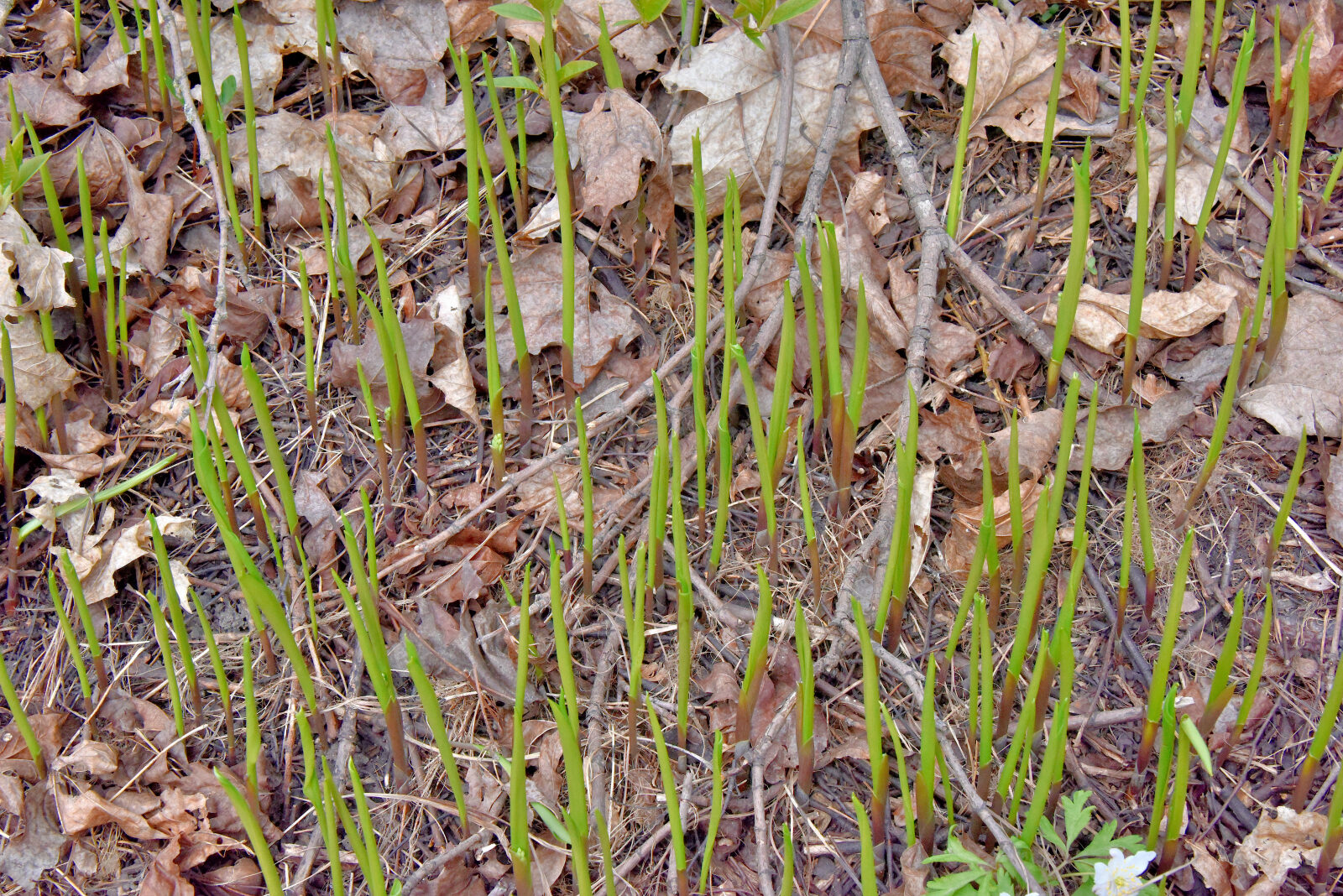 Valokuvaaja: Reijo Juurinen
