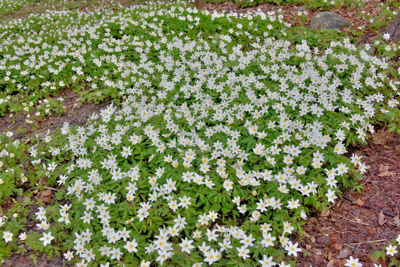 Valokuvaaja: Reijo Juurinen