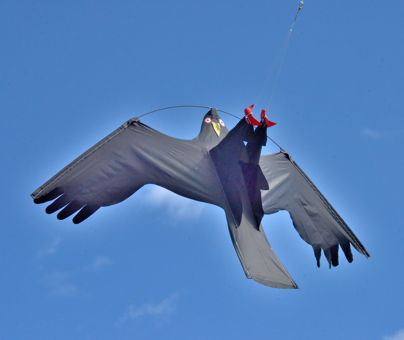 Valokuvaaja: Reijo Juurinen