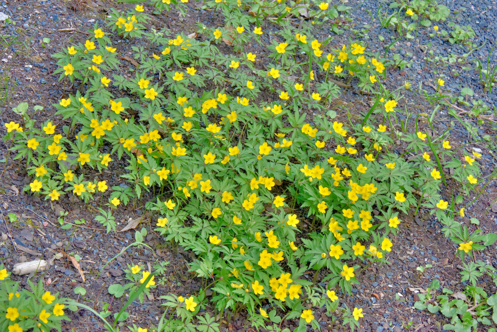 Valokuvaaja: Reijo Juurinen