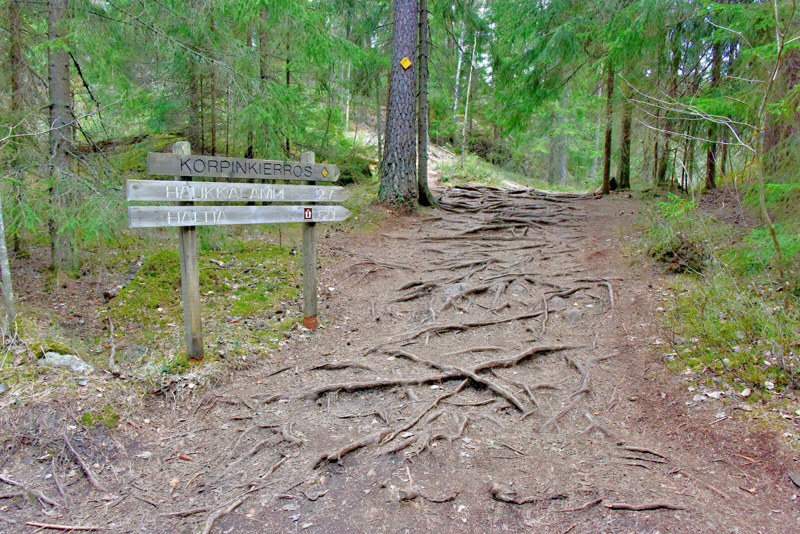 Valokuvaaja: Reijo Juurinen Valokuvaaja: Reijo Juurinen