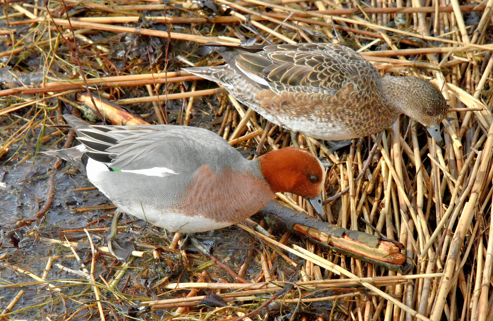 Valokuvaaja: Reijo Juurinen