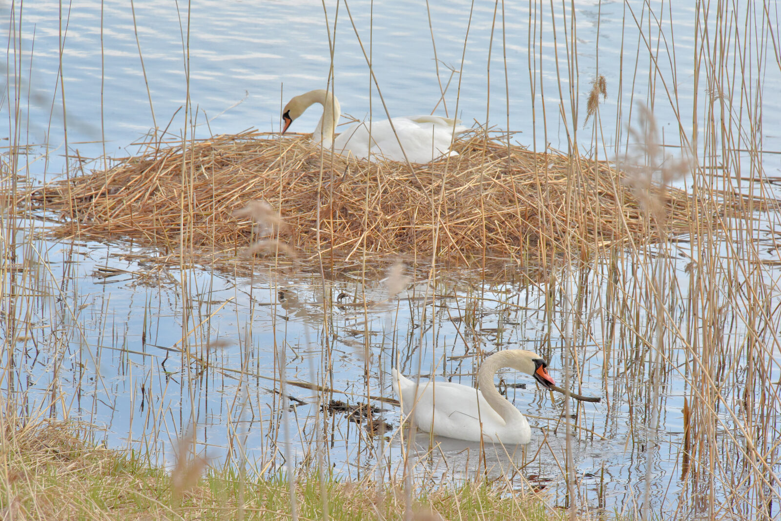 Valokuvaaja: Reijo Juurinen