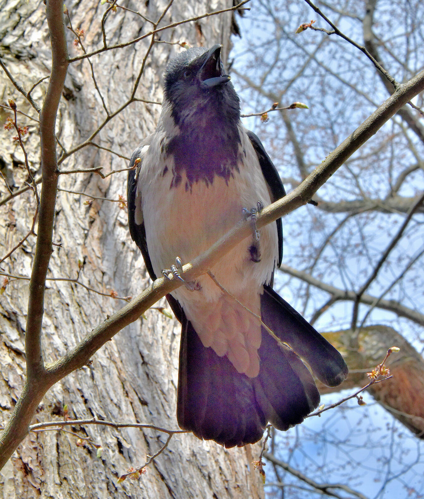 Valokuvaaja: Reijo Juurinen